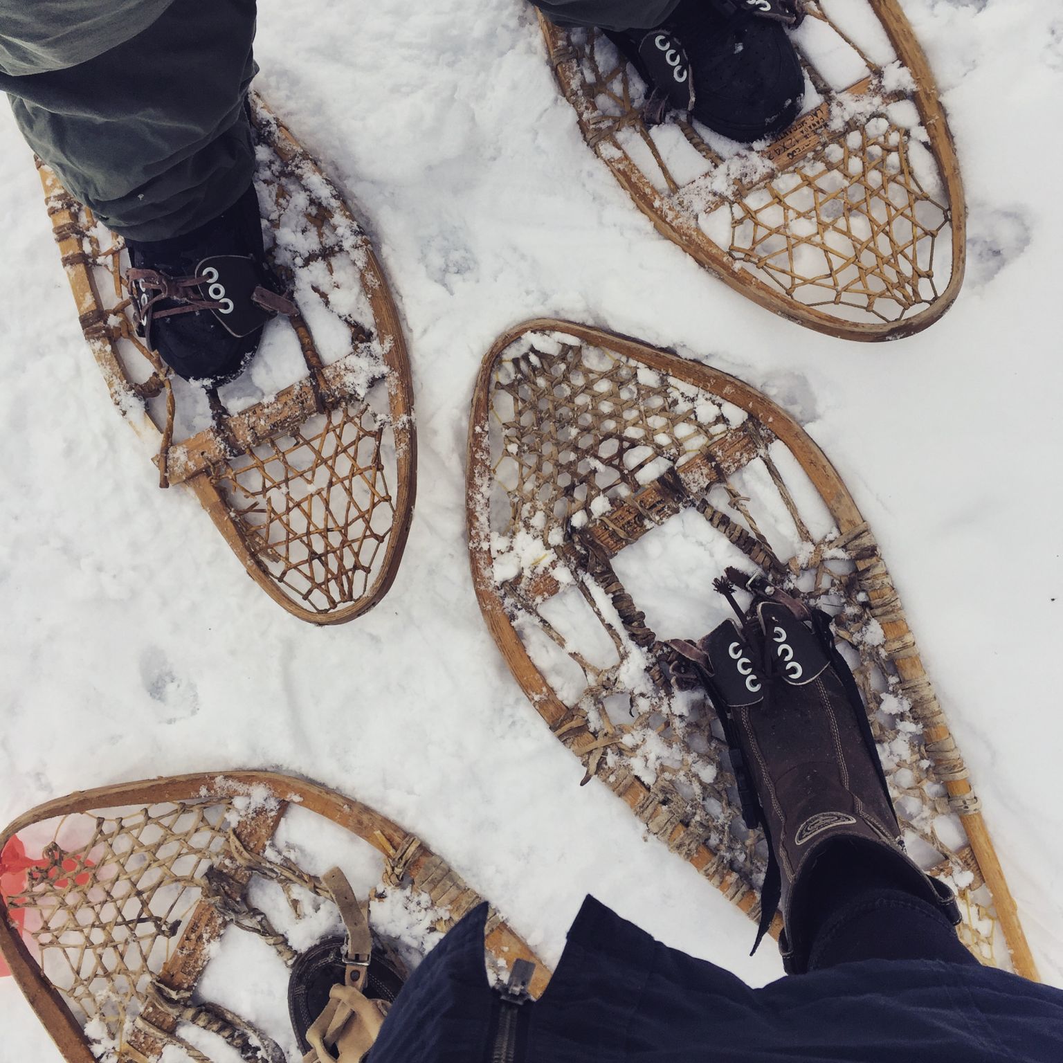 four wooden snowshoes seen from above