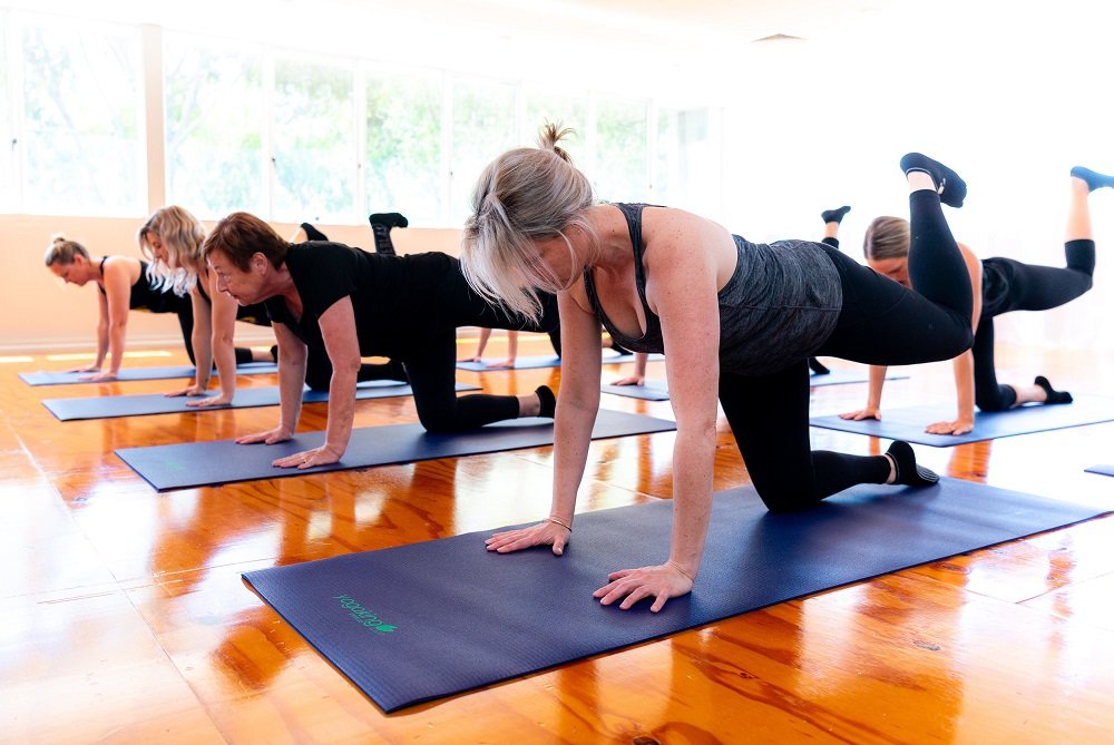 clients doing bird dog on the mat in a pilates class