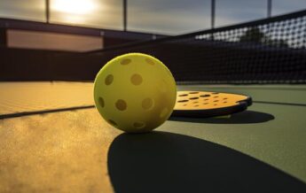 pickle ball ball and racket on a court